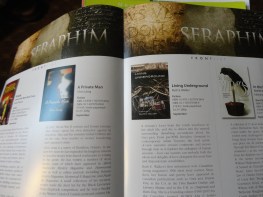 LU shown in catalogue at London UK Book Fair, summer 2012